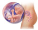 兰州合法供卵包性别-孕妇的睡眠姿势会影响胎儿的成长