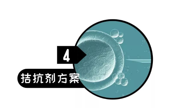 赣州供卵中介生子流程-排卵方案中的拮抗剂方案的过程。